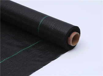 นอนเสื่อ