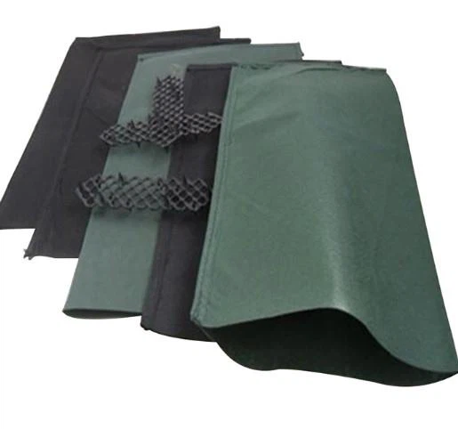 นิเวศวิทยา